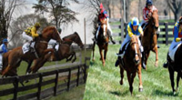 Explore Baltimore: The Maryland Hunt Cup